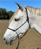 Dressage Naturally Halter and Lead Combo