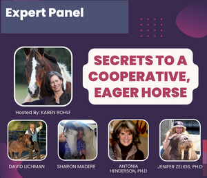 Secrets to a Cooperative Eager Horse - Streaming Video