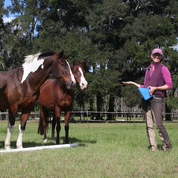 Karen Rohlf teaches you how to have a polite horse around food