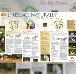 Dressage Naturally Big Picture Poster